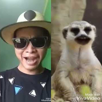 VIRAL!!! VIDEO LUCU ABIS ,KOCAK ABIS ,MUSIM HUJAN KEBANJIRAN