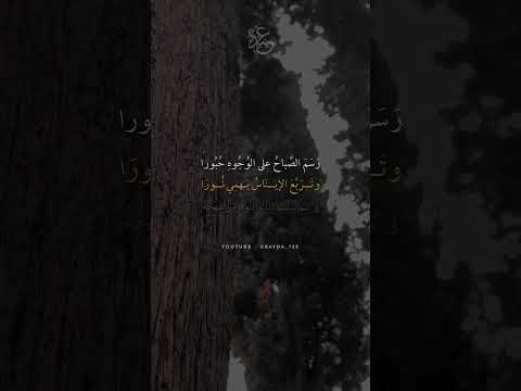 رسم الصباح على الوجوه حبورا ناصر السعيد 