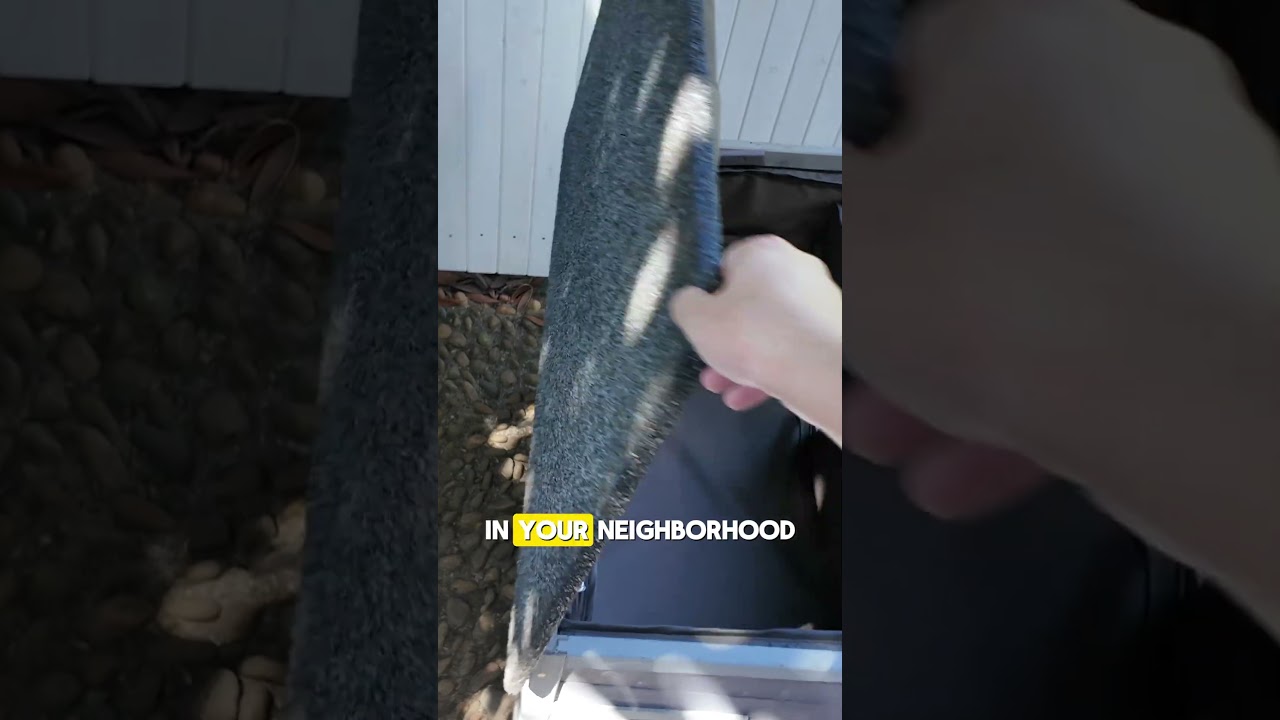 If we don't helop them,they can't survive the winter