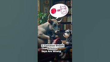 11 Common Beliefs That Science Says Are Wrong