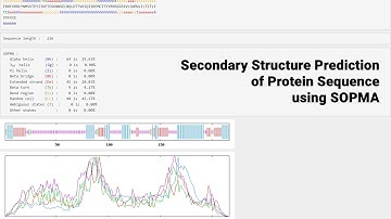 Secondary Structure Prediction of Protein Sequence using SOPMA #bioinformatics #protein #structure