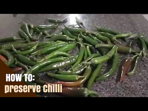 how to preserve chilli // paano mapapanatiling sariwa ang sili