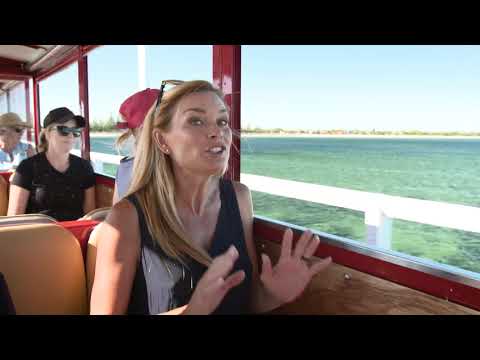 Destination WA - Busselton Jetty