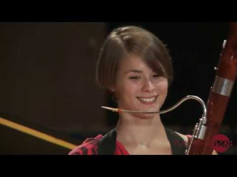 Gustavo Nüñez Bassoon Masterclass No 2 Telemann Sonata