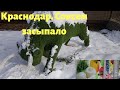 Краснодар завьюженный. Новая фермерская лавка.