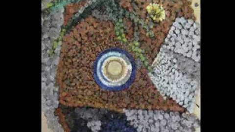 Vision-Space: Retinal Receptor Functions