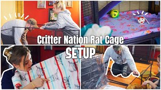 Setting Up My Rat Cage & Mini Rat Haul | Midwest Double Critter Nation