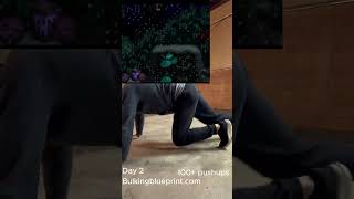 100 Push Ups Every Day Until Bulking Blueprint Hits 1M Users | Day 2 screenshot 4