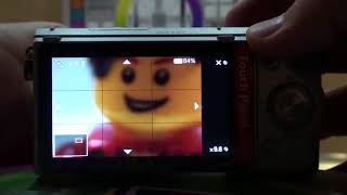 Sony NEX camera Manual Focus Assist (Lego macro), MF assist, DMF