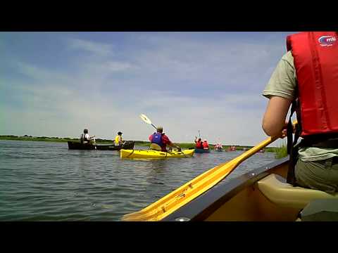 Canoeing in Charles Wheeler Marsh