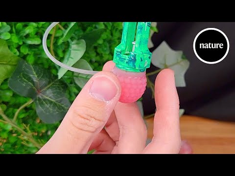 A robotic raspberry teaches machines how to pick fruit