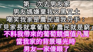 第一次去男友家男友媽嫌棄我又黑又土嘲笑我家是農民逼我分手「見家長就拿葡萄農民就是窮」不料當我家的背景曝光時 男友一家傻眼了#心書時光 #為人處事 #生活經驗 #情感故事 #唯美频道 #爽文