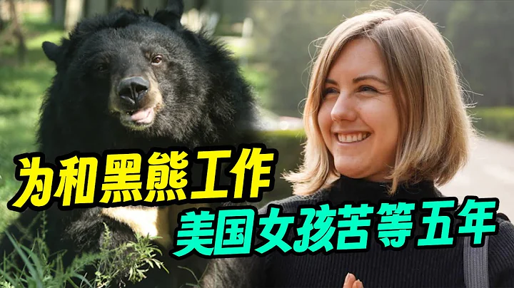 美國女孩痴迷亞洲黑熊，等待五年只為來中國工作？【我住在這裡的理由 360】成都阿曼達篇 上 - 天天要聞