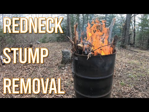REDNECK Stump Removal // FIRE!!