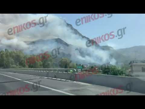 enikos.gr - Φωτιά στο Δερβενάκι Αχαίας