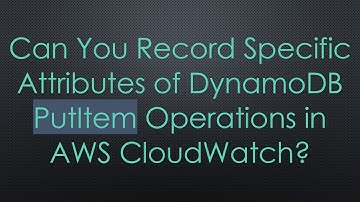 Can You Record Specific Attributes of DynamoDB PutItem Operations in AWS CloudWatch?