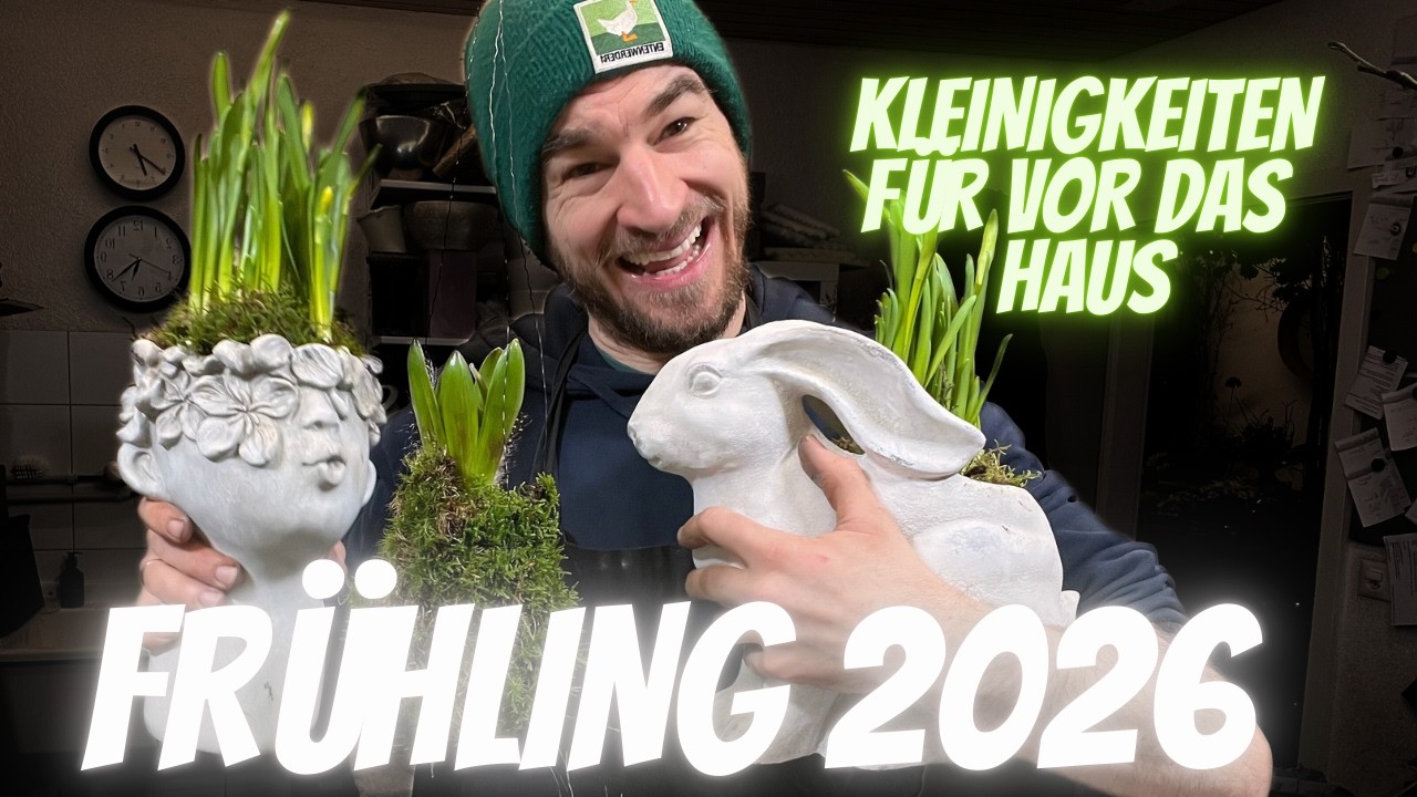 Kleine Inspirationen für vor das Haus mit Pflanzen