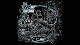 Interlude 3 - My Sleeping Karma - Soma 2012