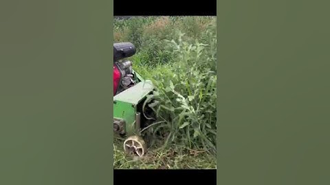 Máy cày xới đất mini máy cắt băm cỏ nông nghiệp máy lên luống tạo rãnh đa năng #farming #automobile