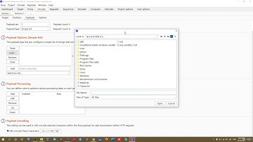 Payload types  Simple list, Runtime file, Custom iterator