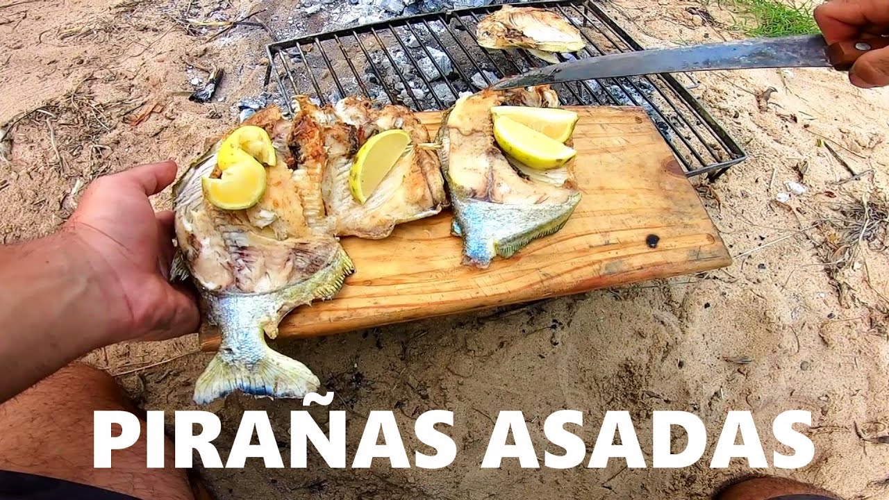 PESCA Y COCINA, PALOMETAS Y TORTUGAS. PESCA URBANA
