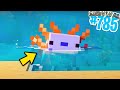 CERCO l'AXOLOTL BLU SUPER RARO - Minecraft ITA SURVIVAL #785