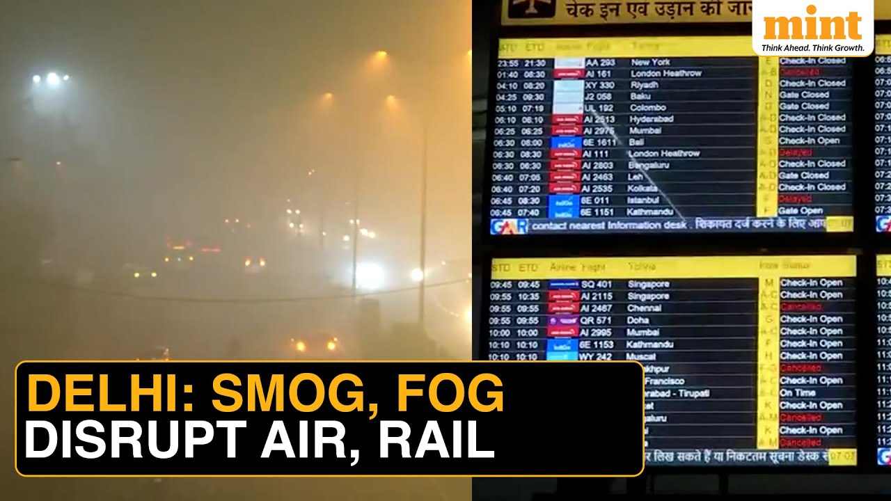 В Дели царит хаос из-за густого тумана, затрудняющего передвижение: рейсы перенаправлены, поезда ...