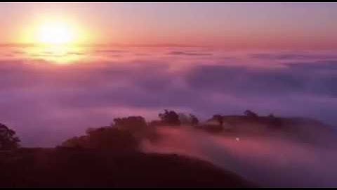 القارئ أنس غنيمة صوت جميل جدا برواية الدوري عن الكسائي