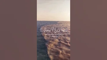 مرج البحرين يلتقيان سورة الرحمن عمير شميم 