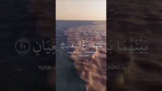 مرج البحرين يلتقيان - سورة الرحمن - عمير شميم
