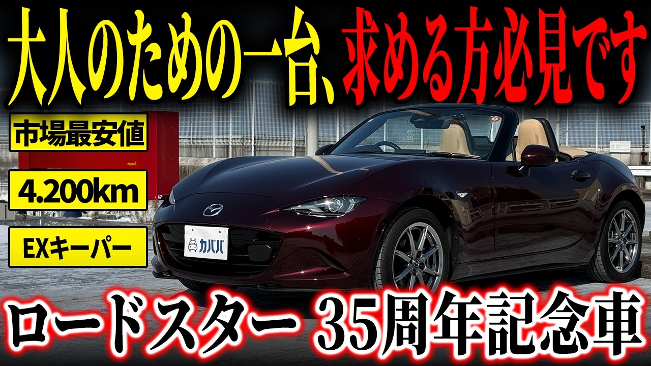 Anniversary Edition at a Great Price] A sense of exclusivity only