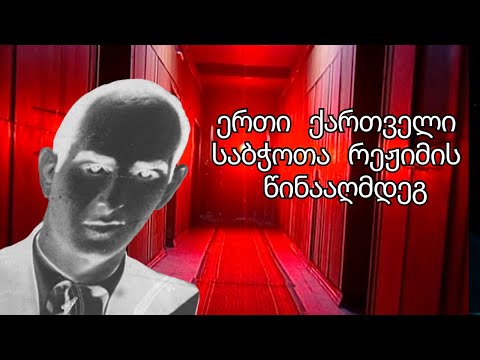 მარტოხელა ქართველი ტერორისტი