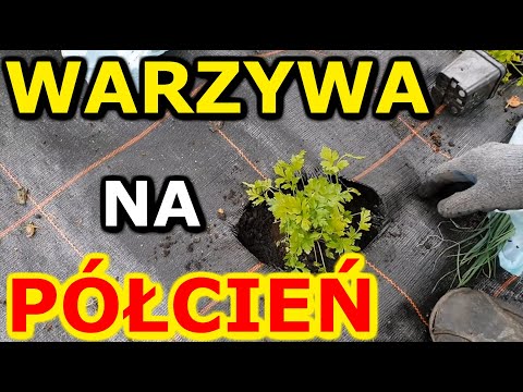 Wideo: Warzywa odporne na cienie - Uprawa warzyw w zacienionym ogrodzie