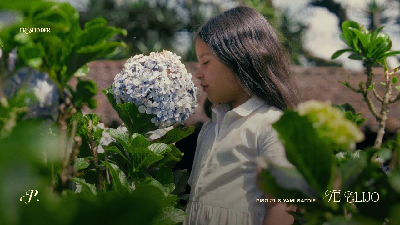 Watch Piso 21, Yami Safdie - Te Elijo (Visualizer) on YouTube Watch Piso 21, Yami Safdie - Te Elijo (Visualizer) on YouTube