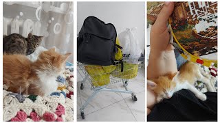 видео: VLOG 542: КАК НА СВИДАНИЕ!) картинка: VLOG 542: КАК НА СВИДАНИЕ!)