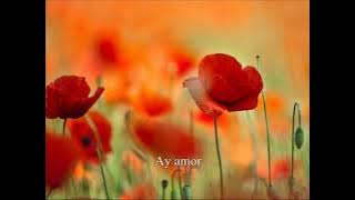 Me quedo contigo Benedetta Caretta