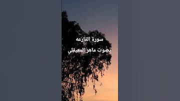 سورة القارعه بصوت ماهر المعيقلي كامله