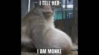 She said do you love me meme.