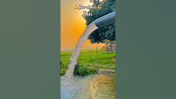 #Roots #new  #haryanvisong #Viral #Video