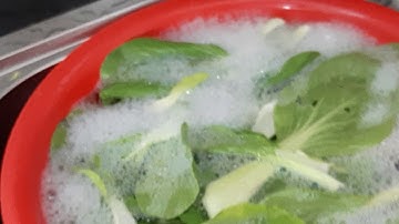 Hướng dẫn cách rửa rau bằng nước rửa đậm đặc DISH DROPS của AMWAY