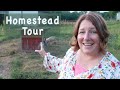 2.5 acre Homestead Tour (after 6 years)