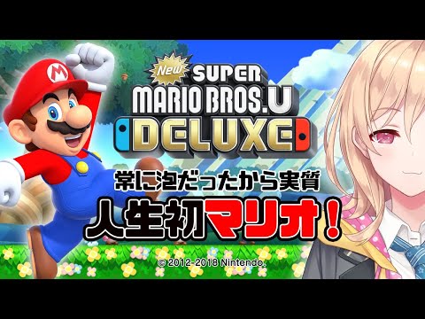 【初心者】マリオを自力でクリアしたことがない