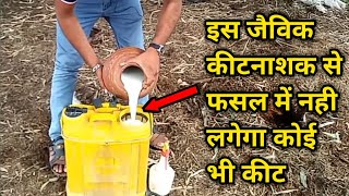 सरल तरीके से छाछ से जैविक कीटनाशक बनाना | How to Make Organic Pesticides