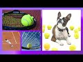 TENNIS QUIZ | 20 QUESTIONS | ARE YOU MISSING LIVE TENNIS DURING LOCKDOWN? | PLAY THIS QUIZ