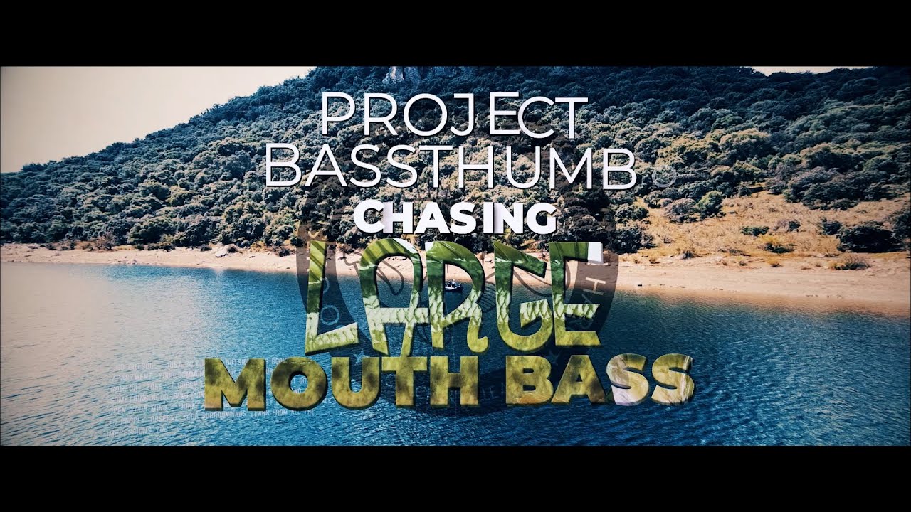 Project Bassthumb chasing Largemouth Bass Spain 2021 Trailer YouTube