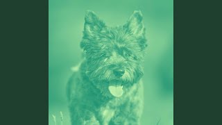 Sublime Ambience for Cute Pup Mode