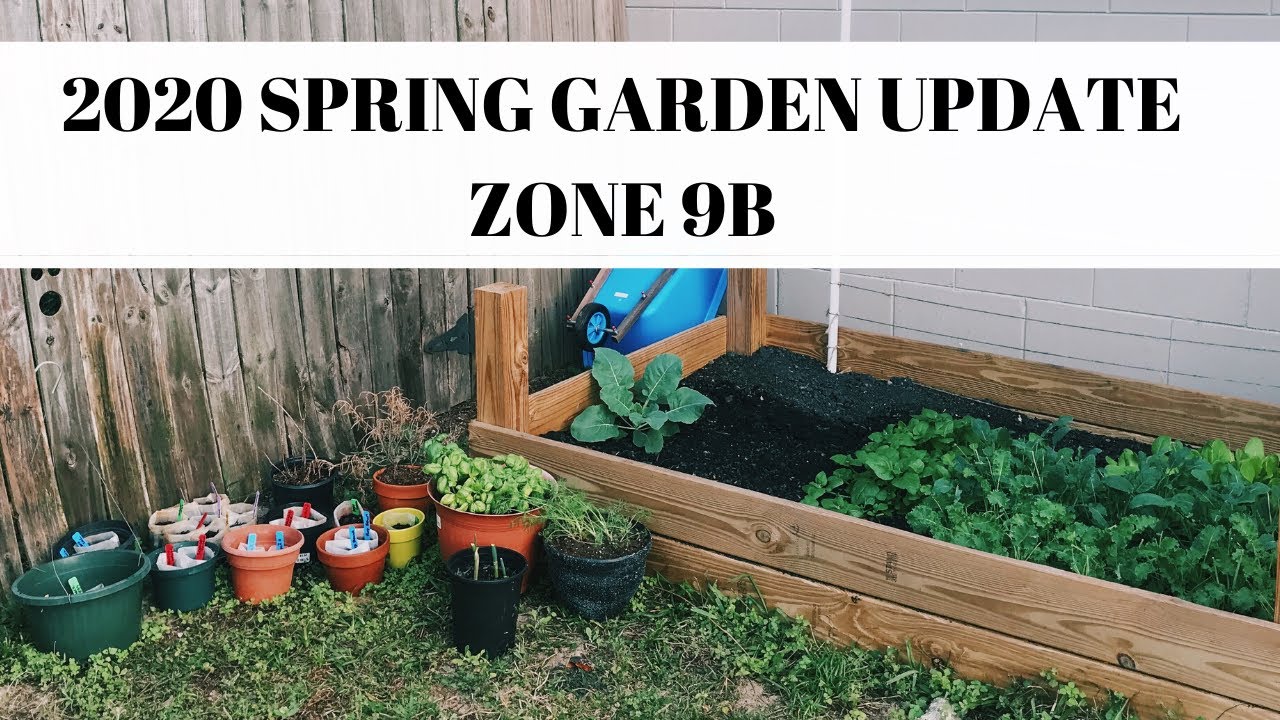 2020 GARDEN UPDATE PREPARING FOR SPRING IN GARDEN ZONE 9B Florida 