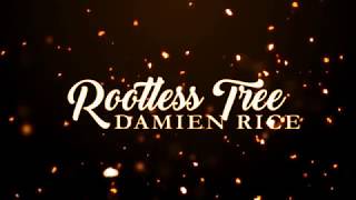 Damien Rice - Rootless Tree (Lyrics) chords