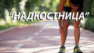 видео: Все, что вам нужно знать о надкостнице, чтобы избавиться от проблемы. картинка: Все, что вам нужно знать о надкостнице, чтобы избавиться от проблемы.