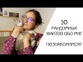 ДАВАЙТЕ ЗНАКОМИТЬСЯ! | 10 РАНДОМНЫХ ФАКТОВ ОБО МНЕ | МОЙ ТВОРЧЕСКИЙ ПУТЬ